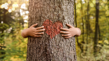 Large tree with arms wrapped around it and a drawn heart in the middle of the tree between the two hands
