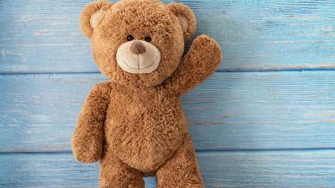 teddy bear