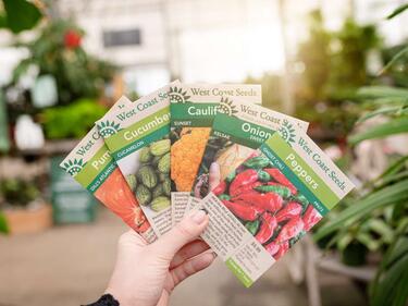 hand holding up seeds