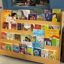 Rolling bookshelf full of books